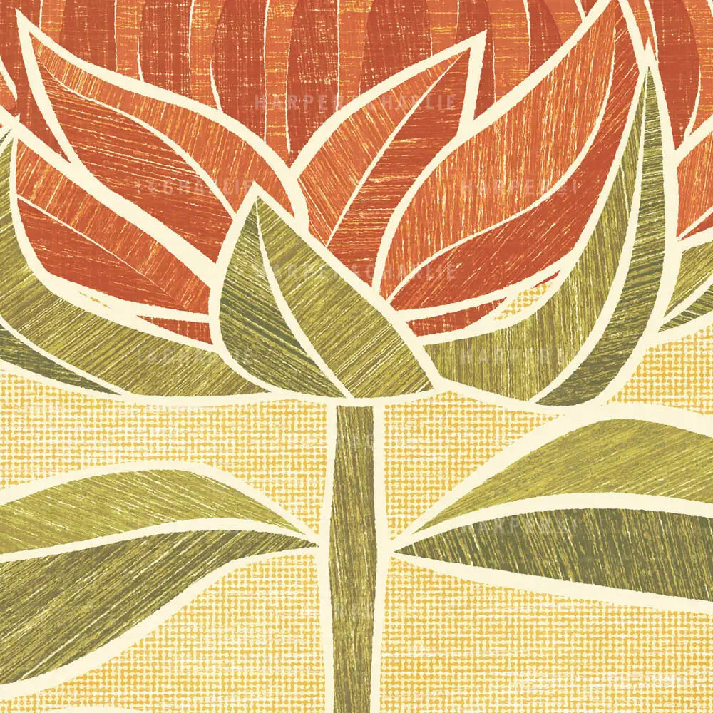 Australian Waratah colour print closeup