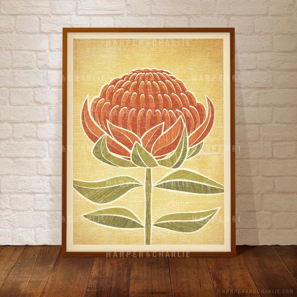 Australia Waratah colour poster 