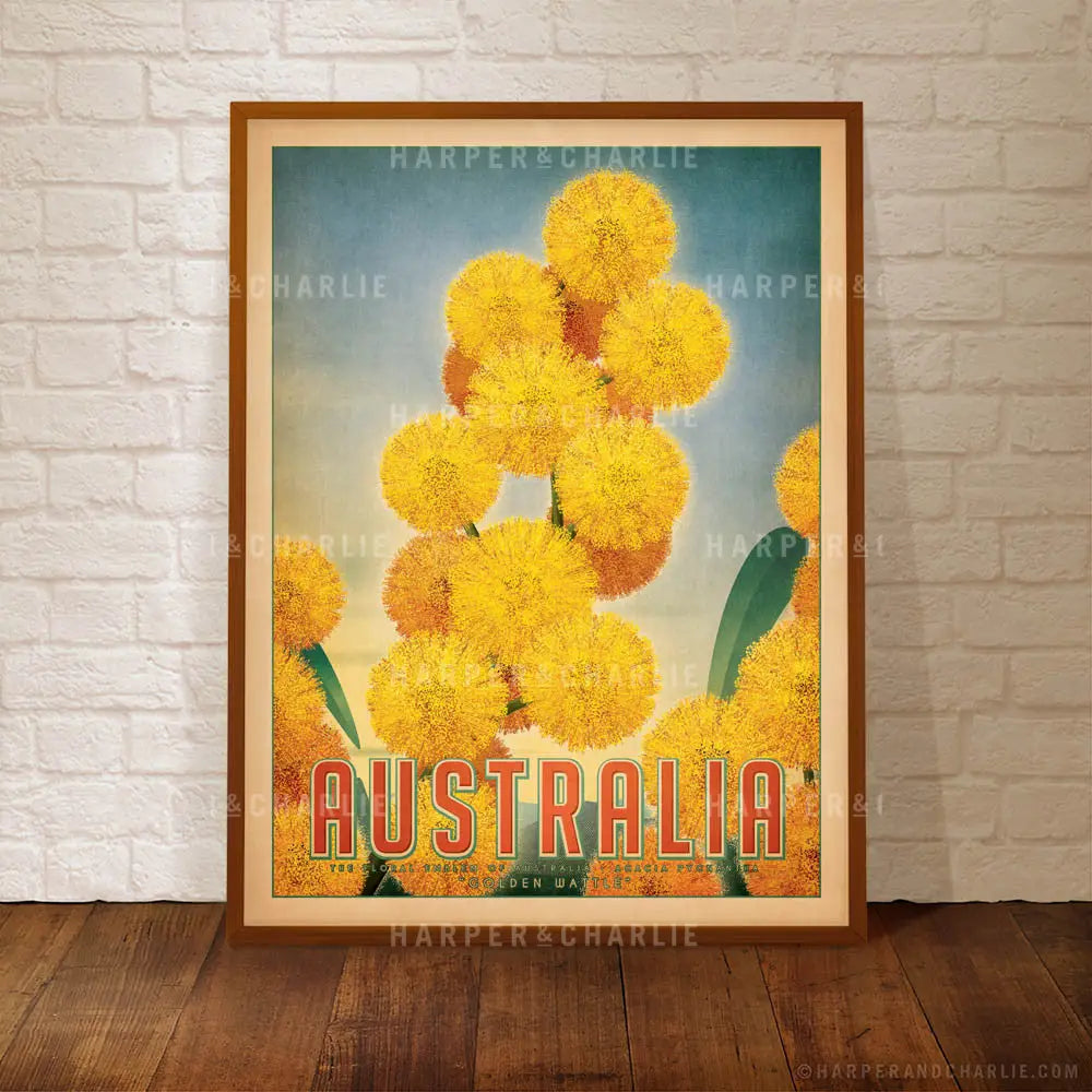 Golden Wattle Colour Print