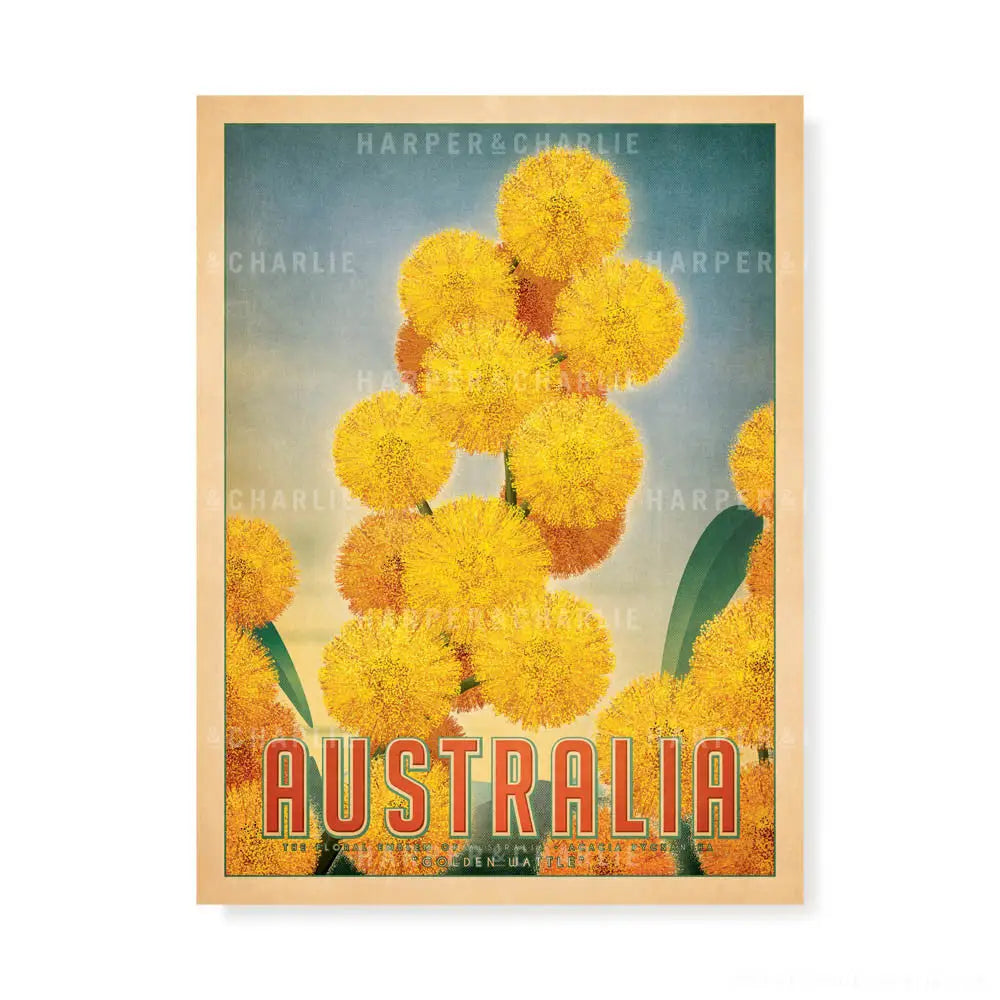 Golden Wattle Colour Print