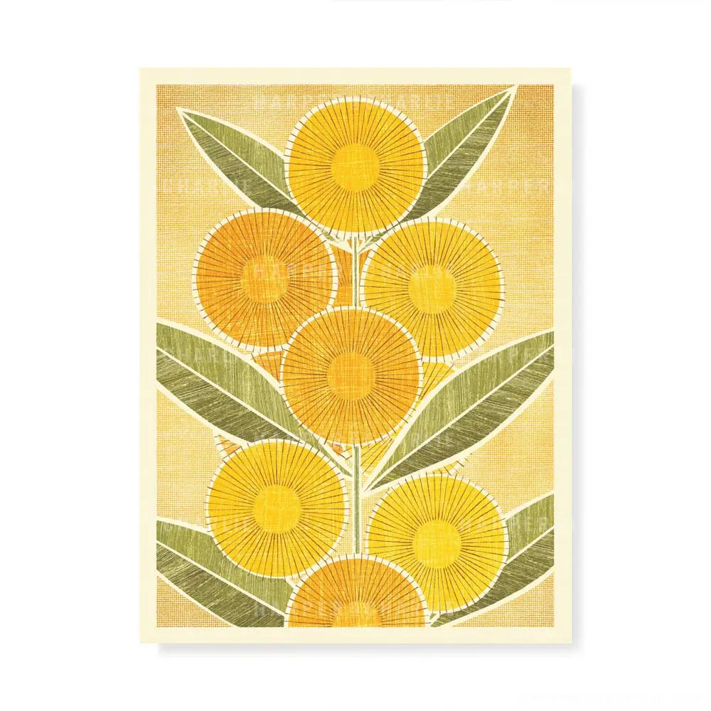 Australian Golden Wattle colour print 