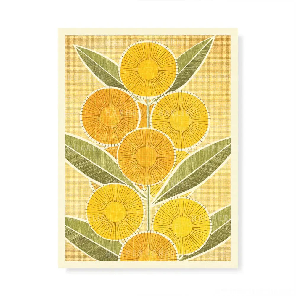Australian Golden Wattle colour print by Harper and Charlie