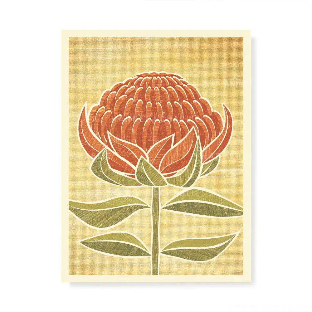 Australian Waratah colour print 