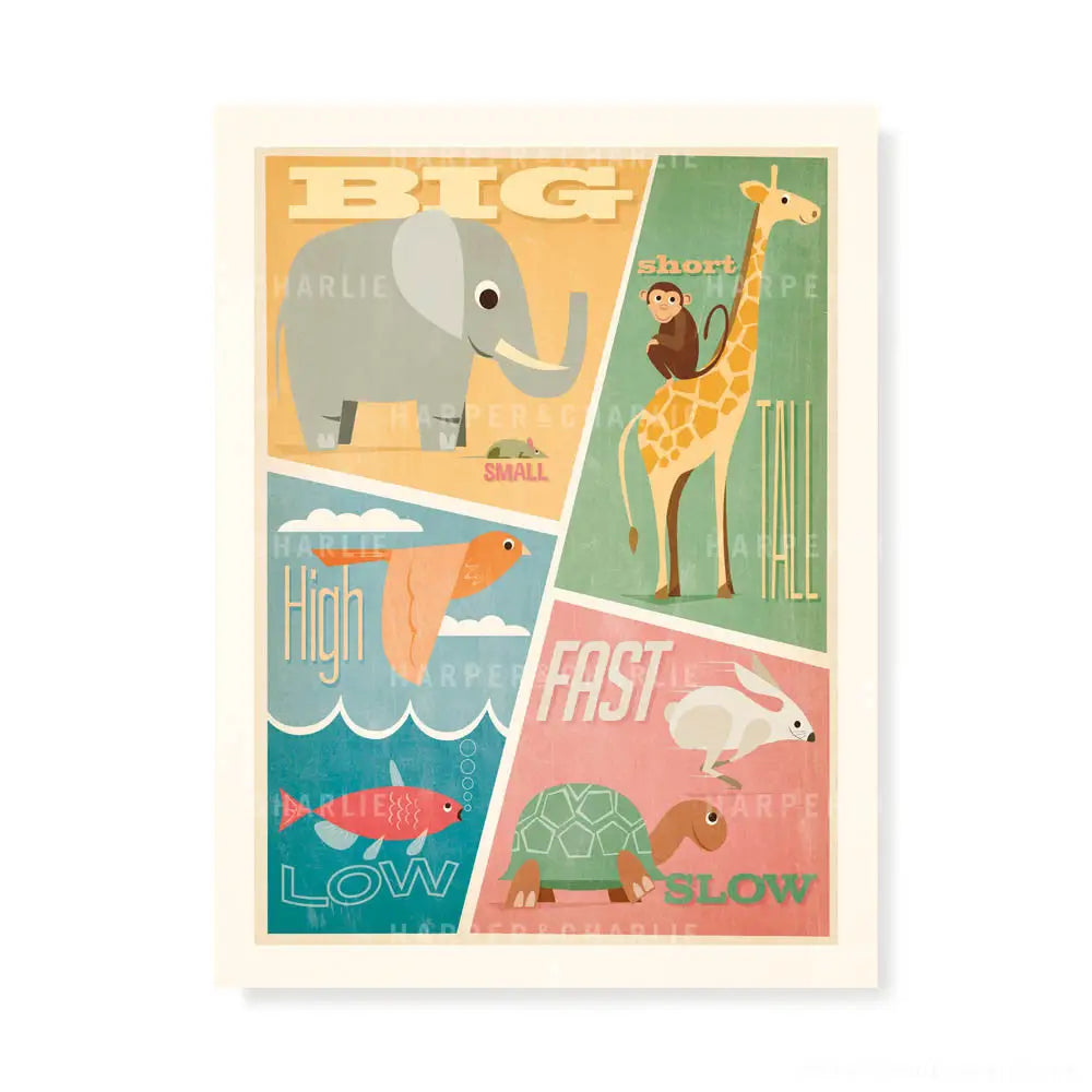 Big,Small, Short, Tall Kids Retro Colour Print by Harper and Charlie