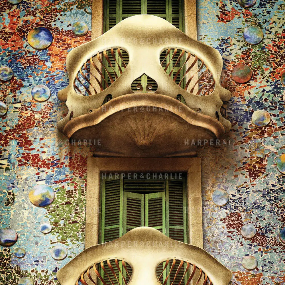 Casa Batlló Barcelona colour print close up