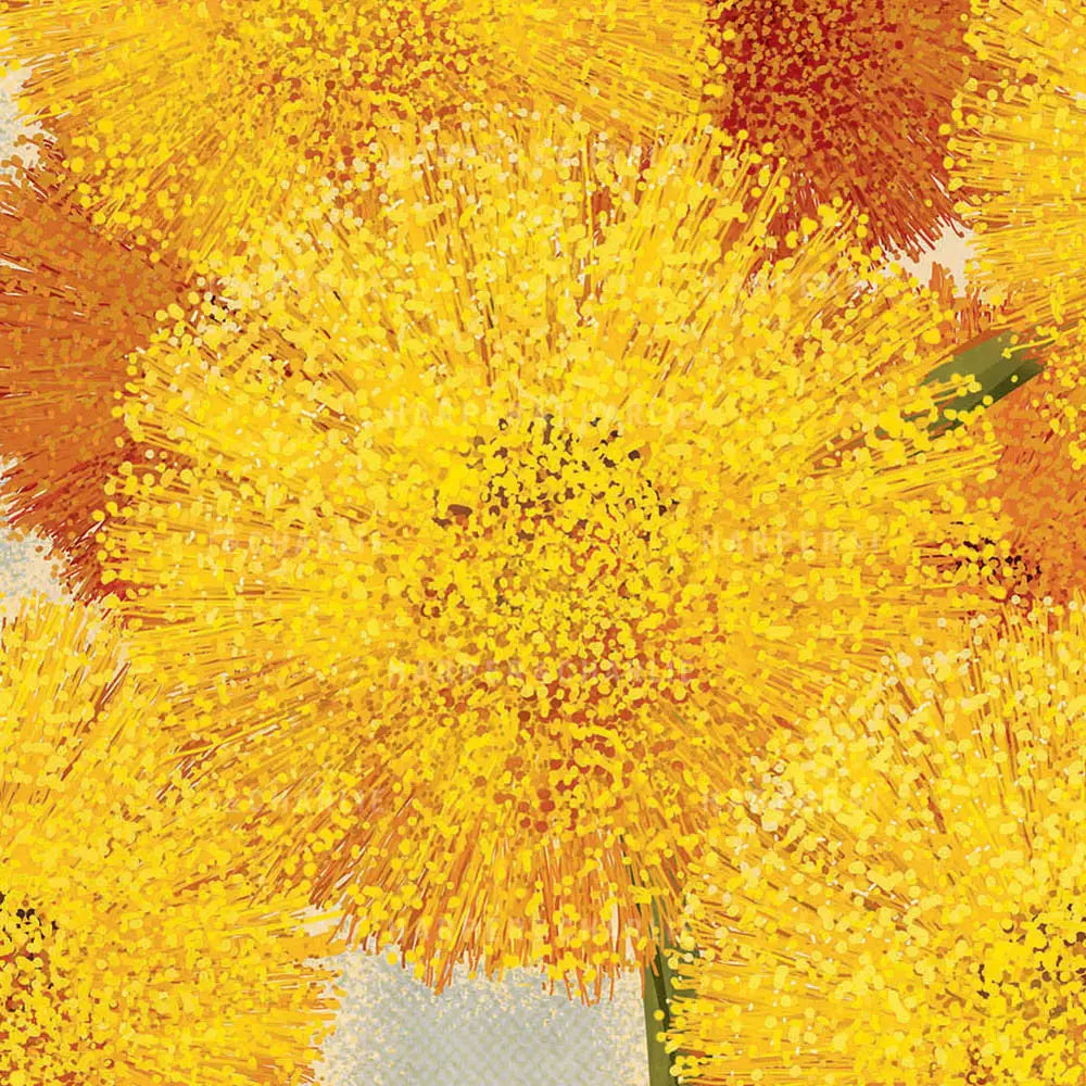 Golden Wattle Colour Print