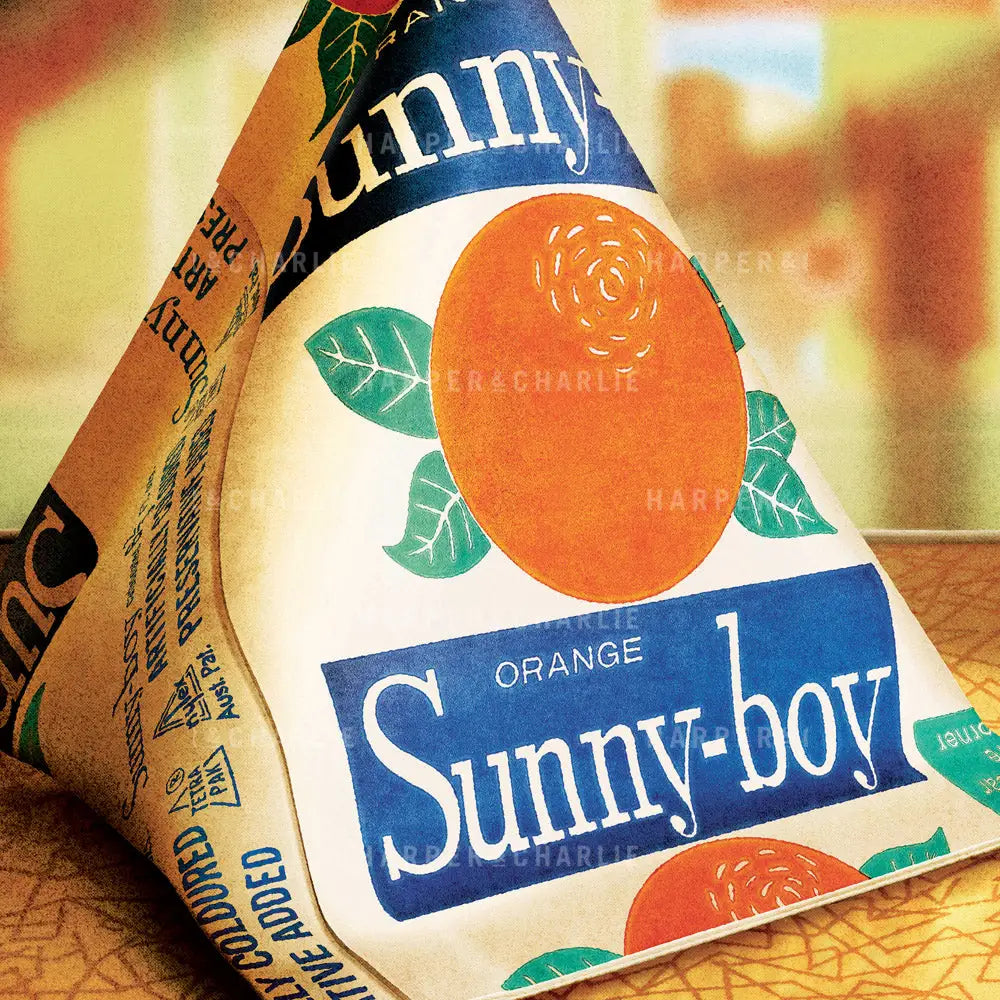 Sunny boy ice block illustration close up view  by Harper and Charlie